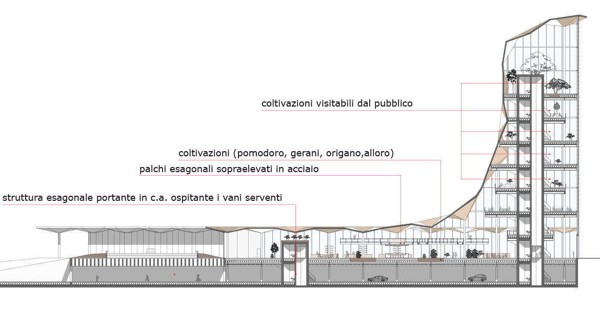Sezione longitudinale del polo multifunzionale per valorizzare l'agricoltura